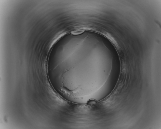 X0000096400806200801311349