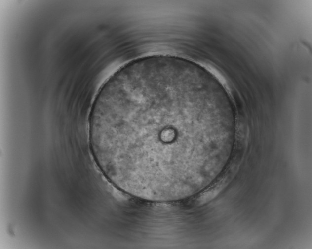 X0000096400807200801311349