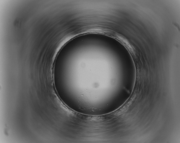 X0000096400808200801311349