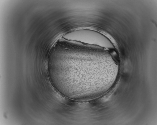 X0000096400809200801311349