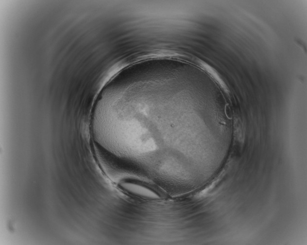 X0000096400810200801311349