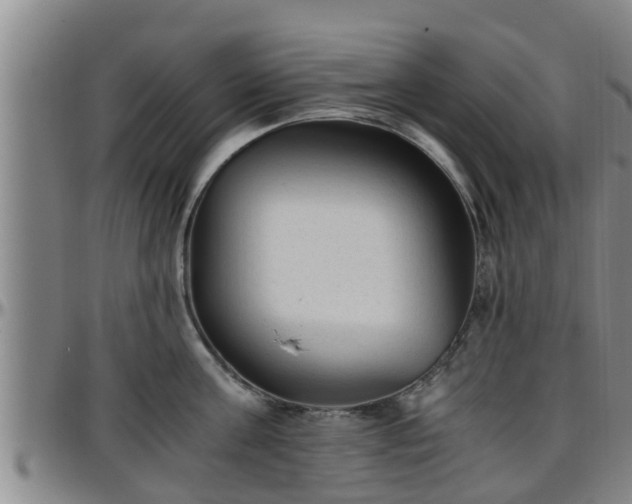 X0000096400811200801311349