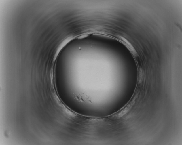 X0000096400812200801311349