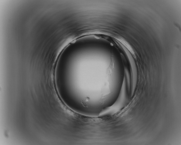 X0000096400813200801311349