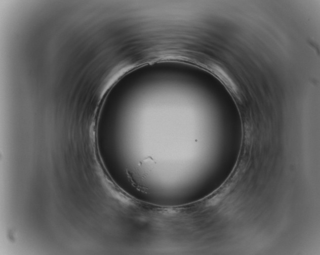 X0000096400814200801311349