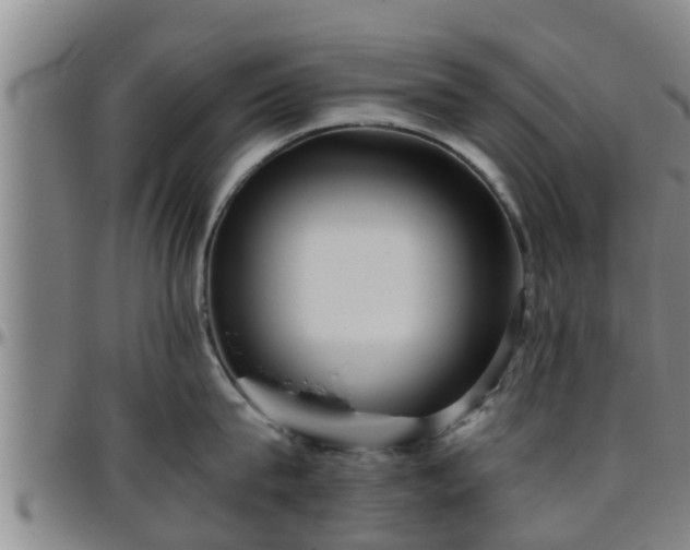 X0000096400815200801311349