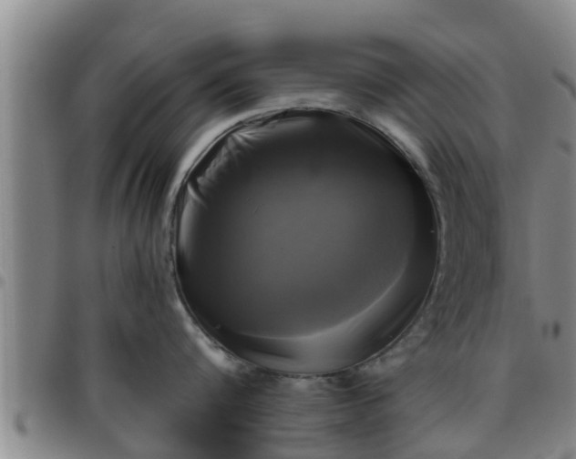 X0000096400816200801311349