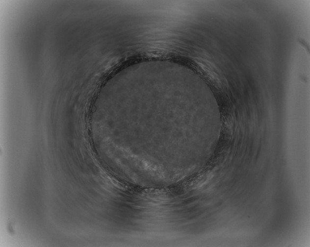 X0000096400817200801311348