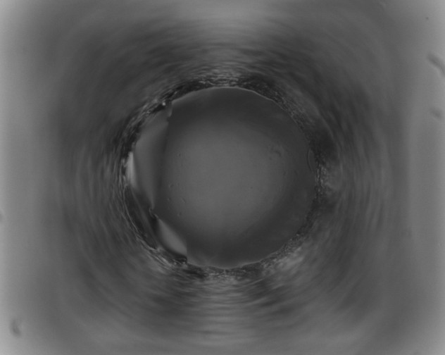 X0000096400818200801311348