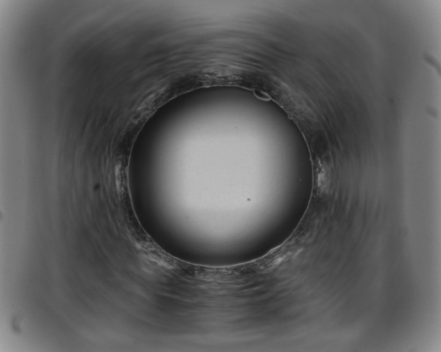 X0000096400819200801311348