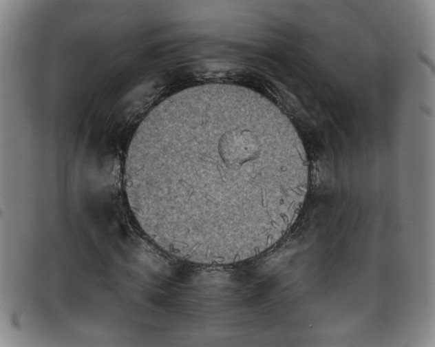 X0000096400820200801311348
