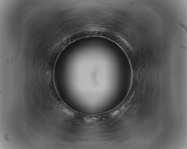 X0000096400821200801311348