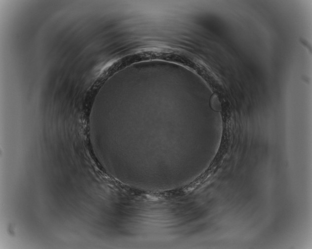 X0000096400822200801311348