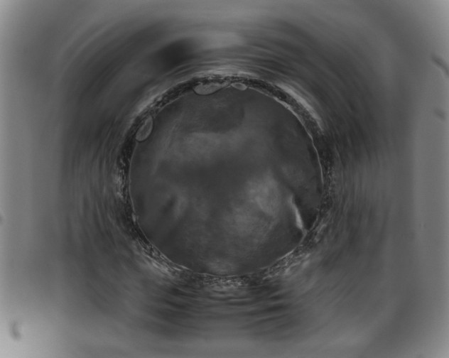 X0000096400823200801311348