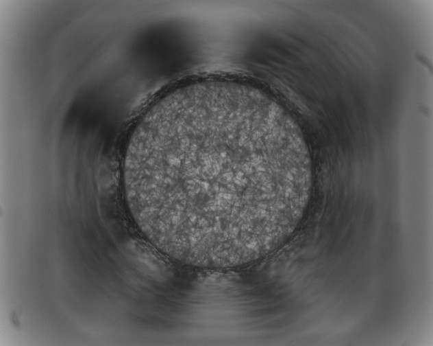 X0000096400824200801311348
