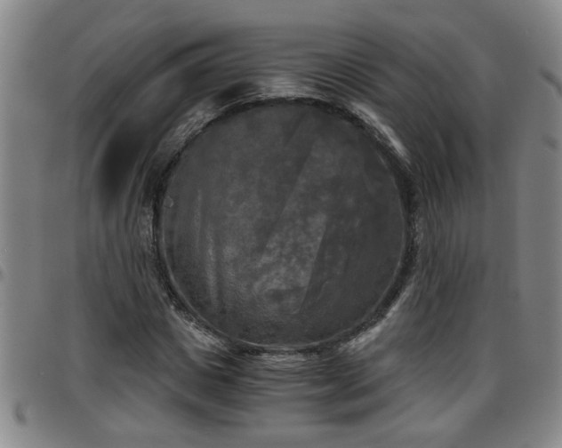 X0000096400825200801311348