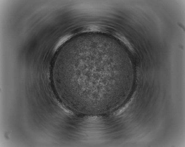 X0000096400826200801311348