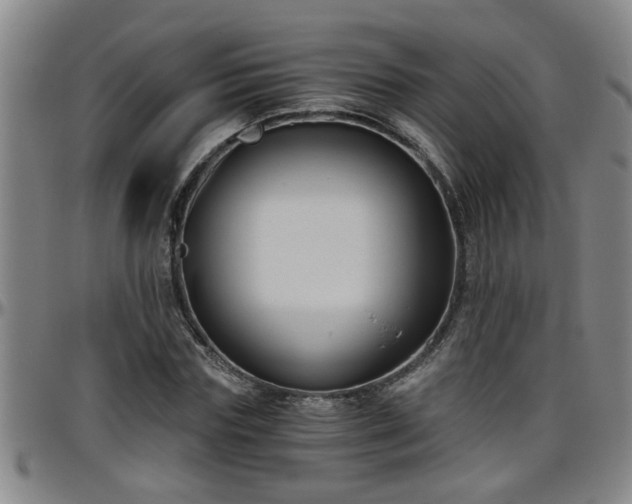 X0000096400827200801311348