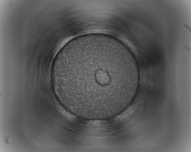 X0000096400828200801311348