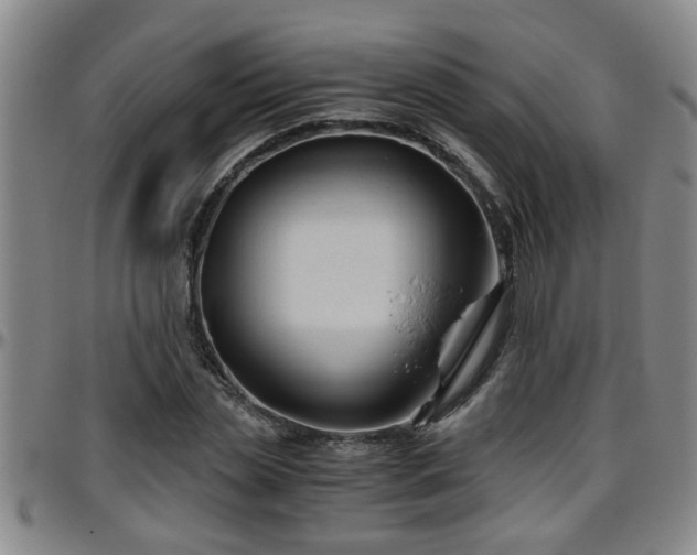 X0000096400829200801311348