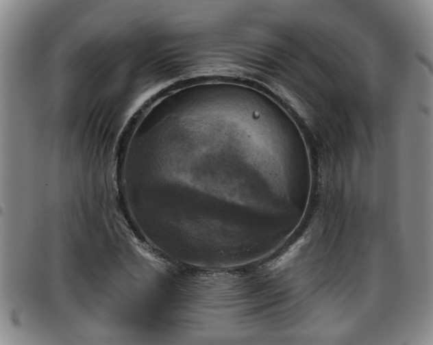 X0000096400830200801311348