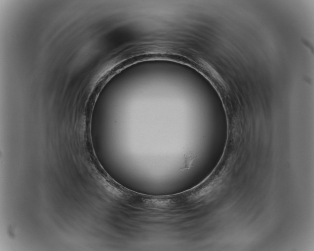 X0000096400831200801311349