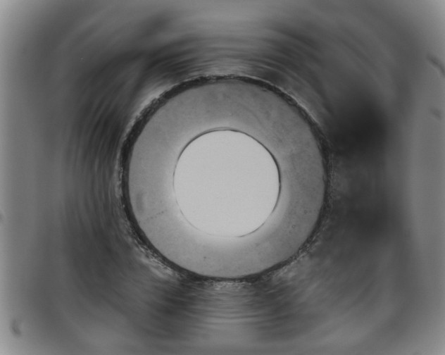 X0000096400832200801311349