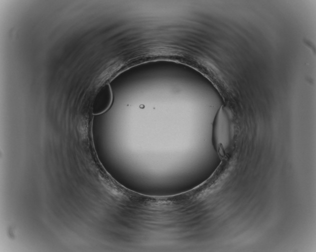 X0000096400833200801311349