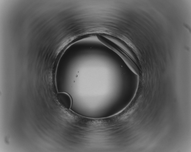 X0000096400834200801311349