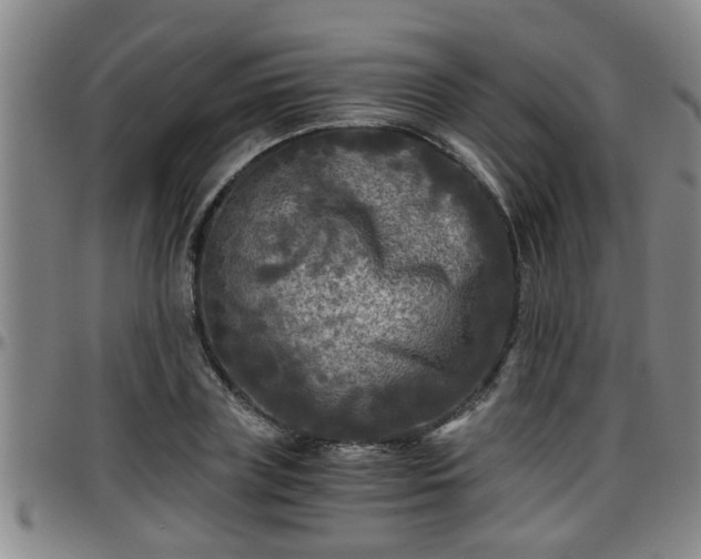 X0000096400835200801311349