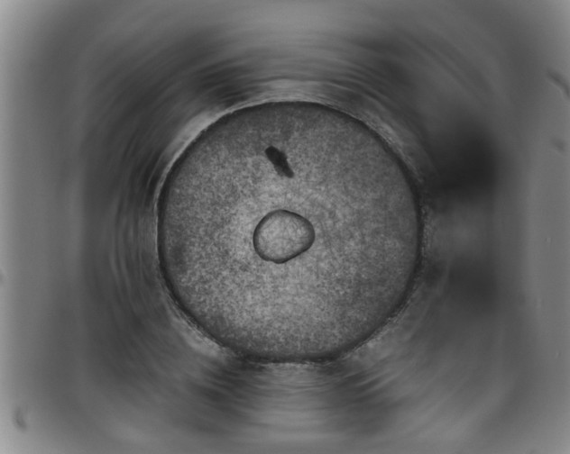 X0000096400836200801311349