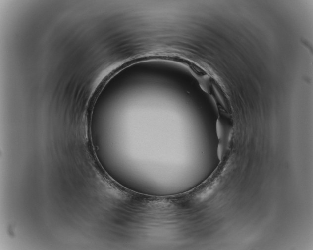 X0000096400838200801311349