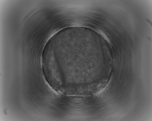 X0000096400839200801311349