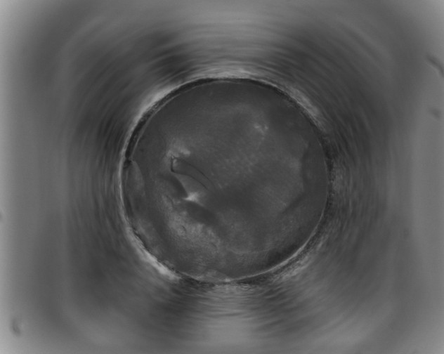 X0000096400840200801311349