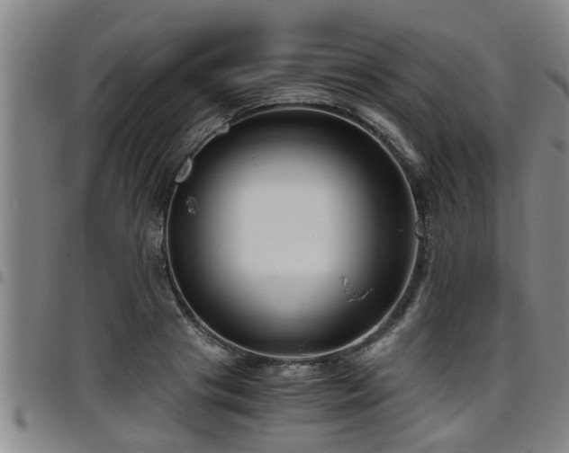 X0000096400841200801311349