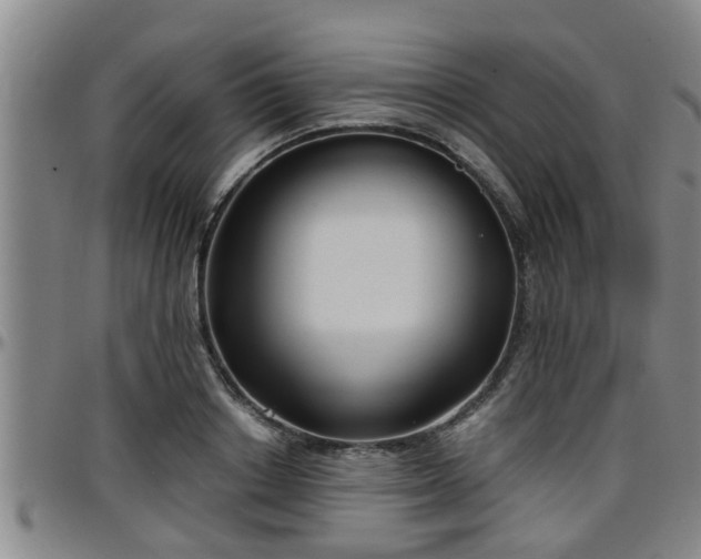 X0000096400842200801311349