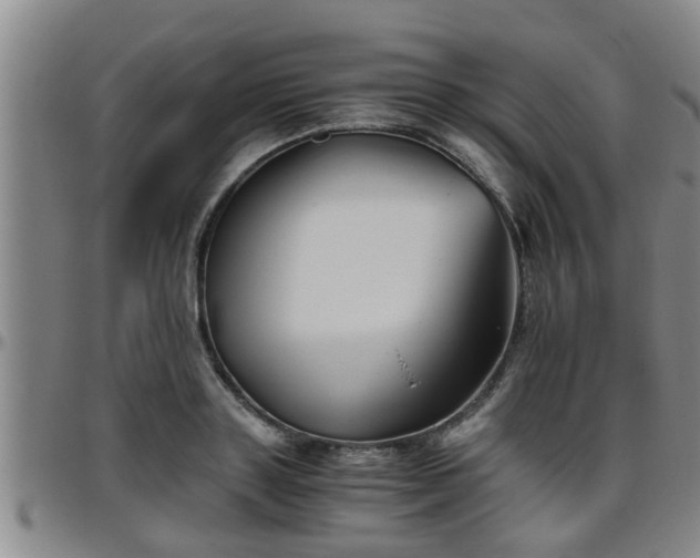 X0000096400843200801311349