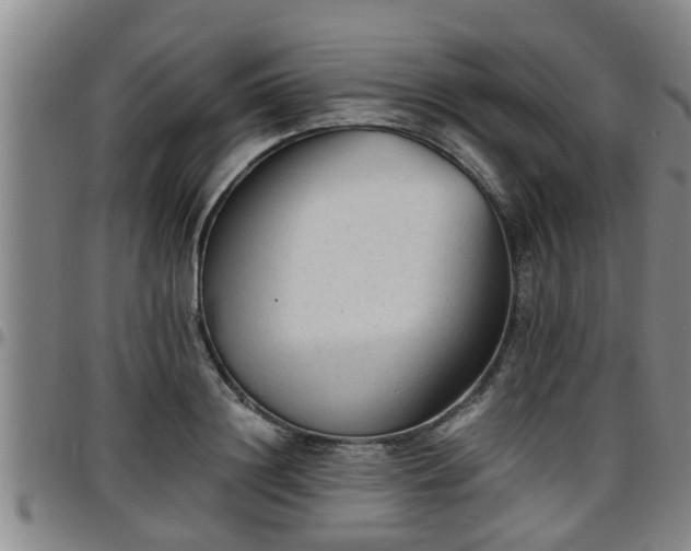 X0000096400844200801311349