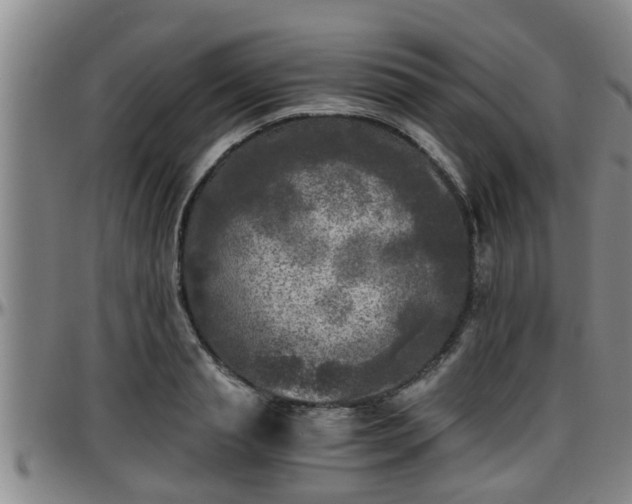 X0000096400845200801311349