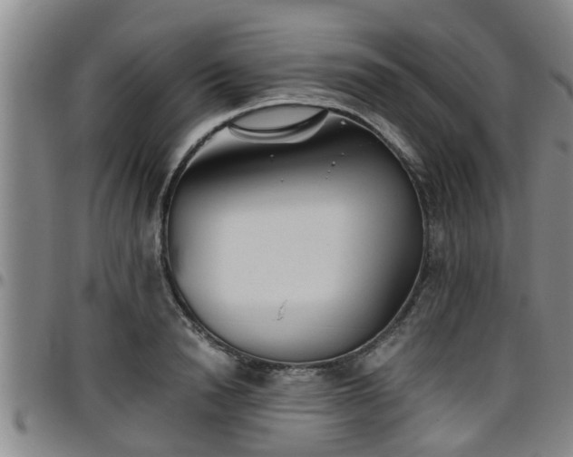 X0000096400846200801311349