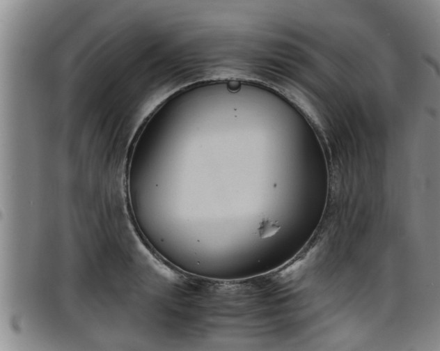 X0000096400847200801311349