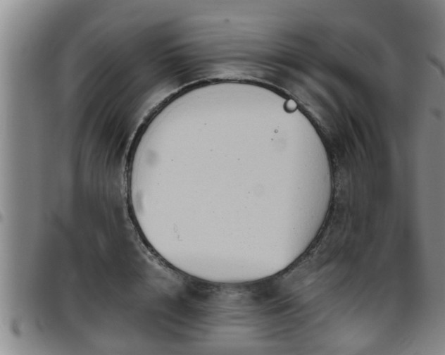 X0000096400848200801311349