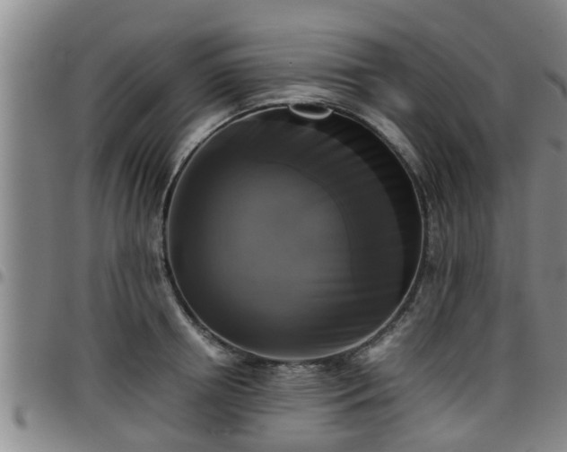 X0000096400850200801311349