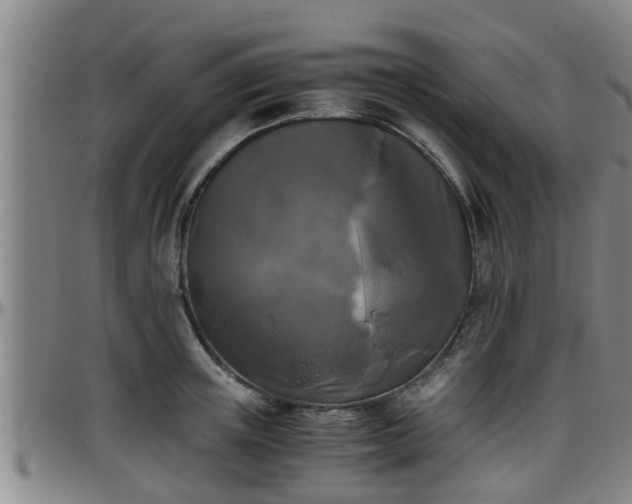 X0000096400851200801311349