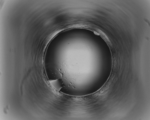 X0000096400852200801311349