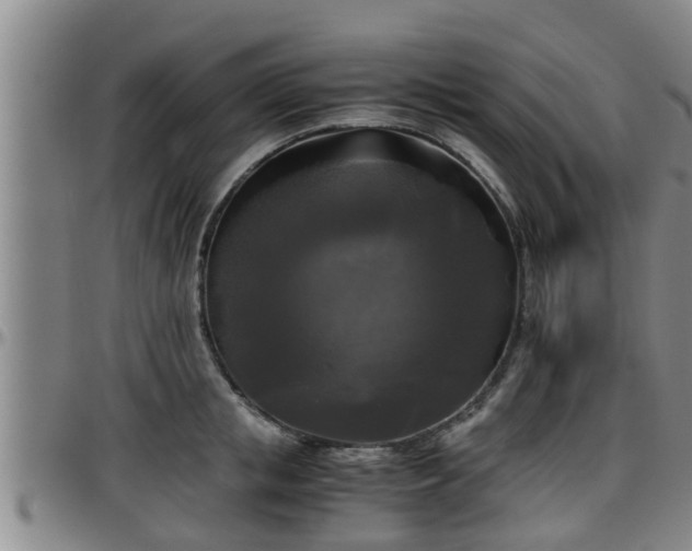 X0000096400853200801311349