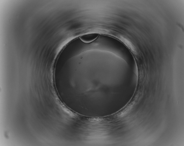 X0000096400854200801311349