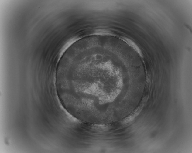 X0000096400855200801311349