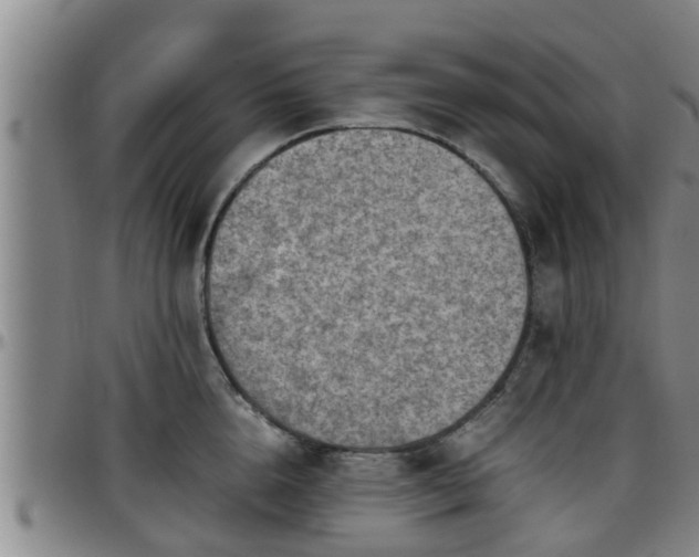 X0000096400856200801311349