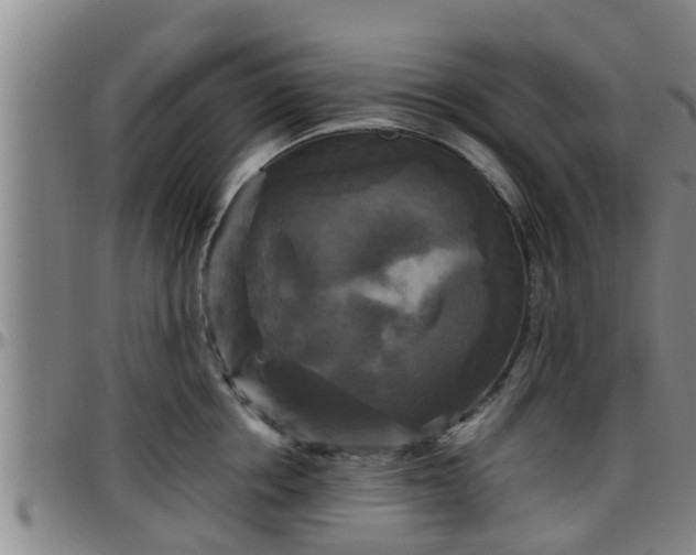 X0000096400858200801311349